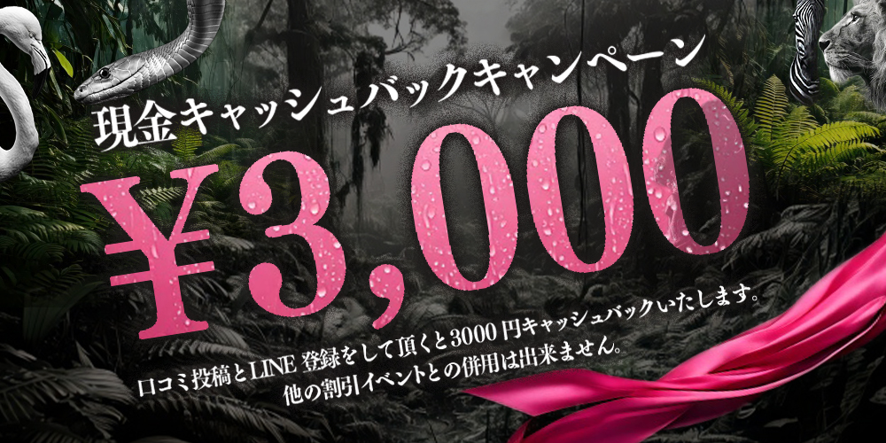 3000円キャッシュバック